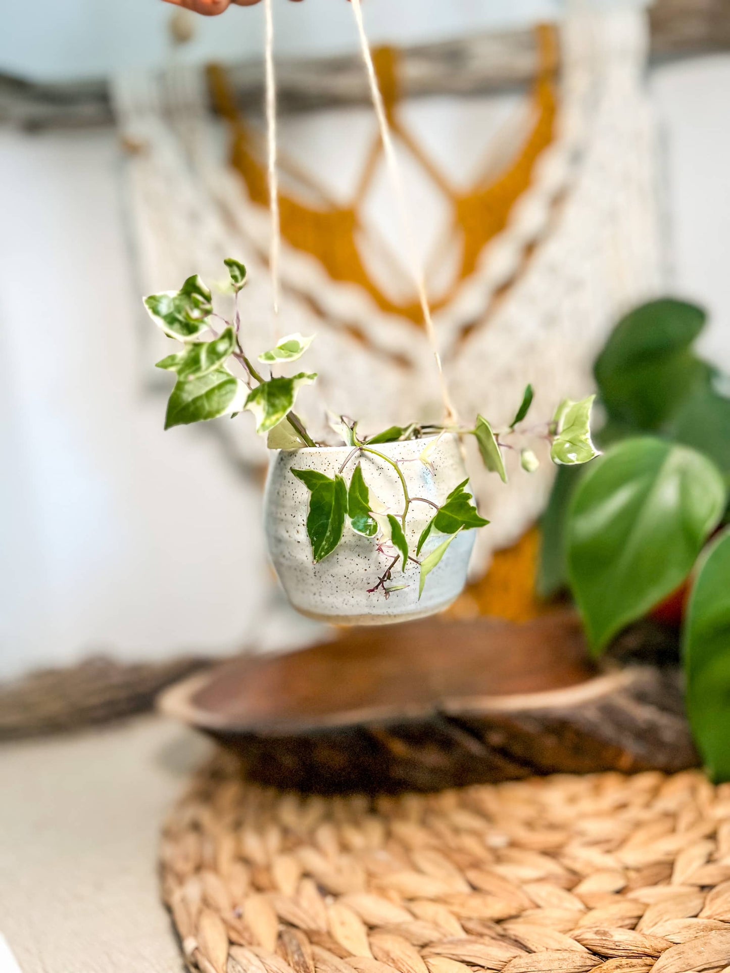 Ceramic Hanging Pot