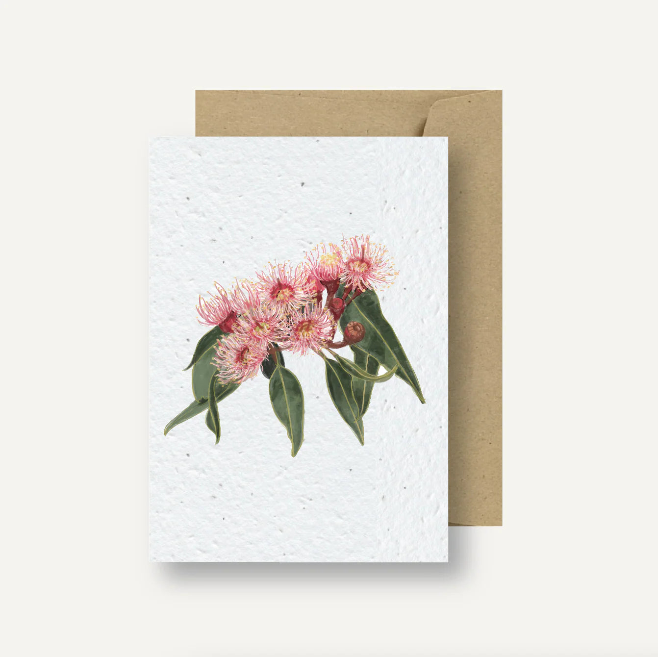 Plantable Card - Flowering Gum