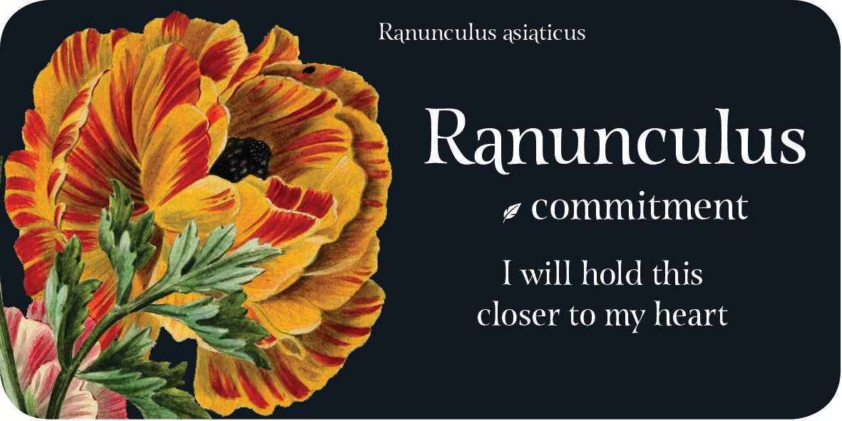 The Language of Flowers: Mini Inspiration Cards