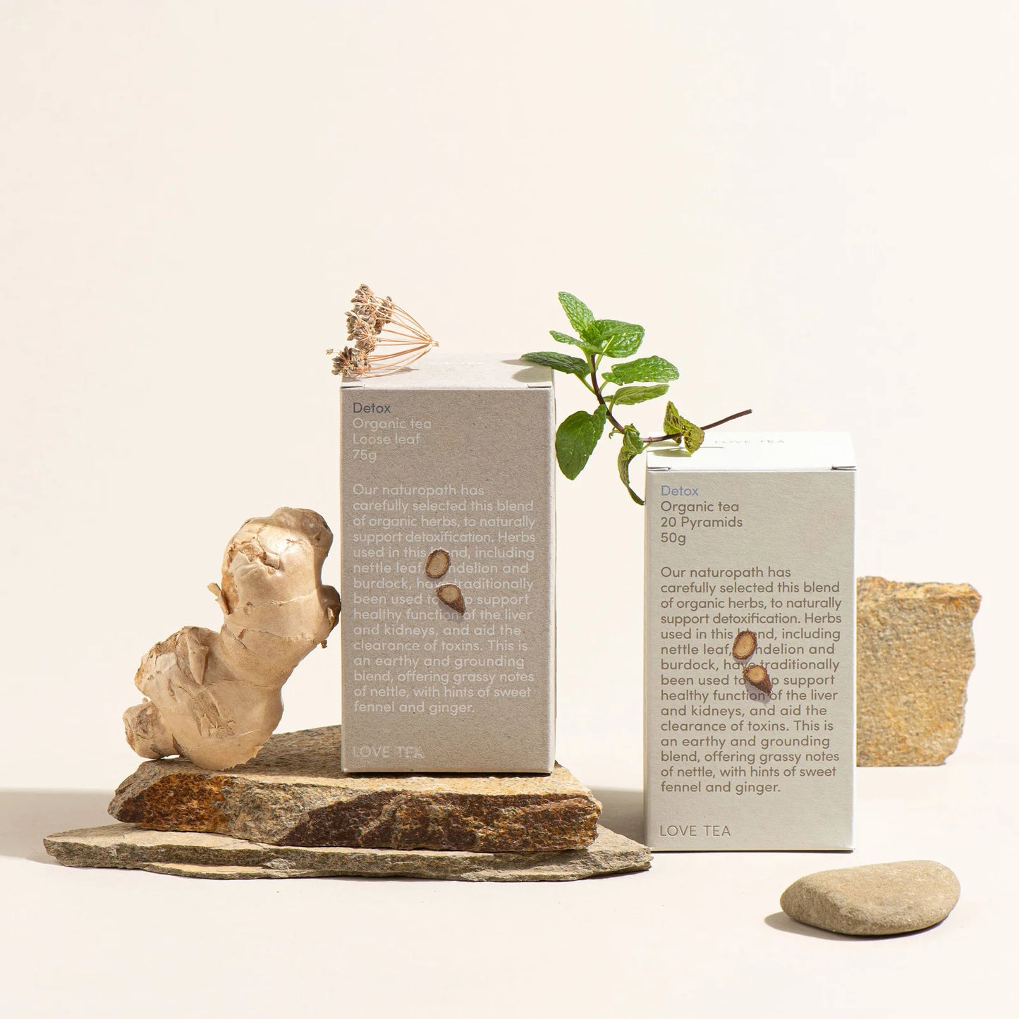 Detox Pyramid Tea Bags (20 Pyramids)
