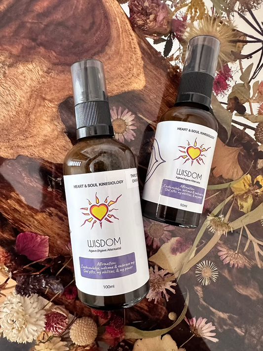 Heart N Soul - Wisdom