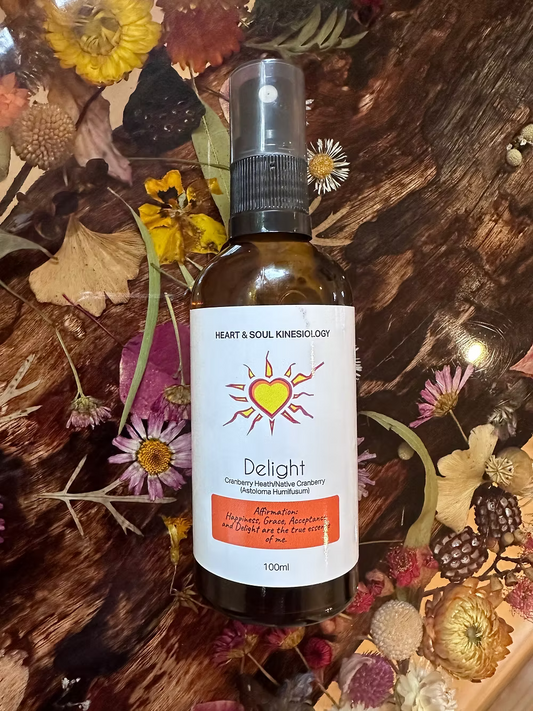 Heart N Soul - Delight Chakra Mist