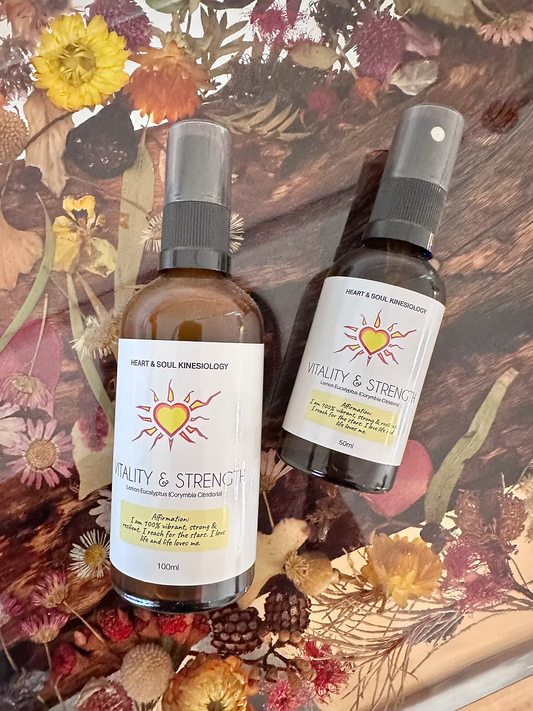 Heart N Soul - Vitality And Strength