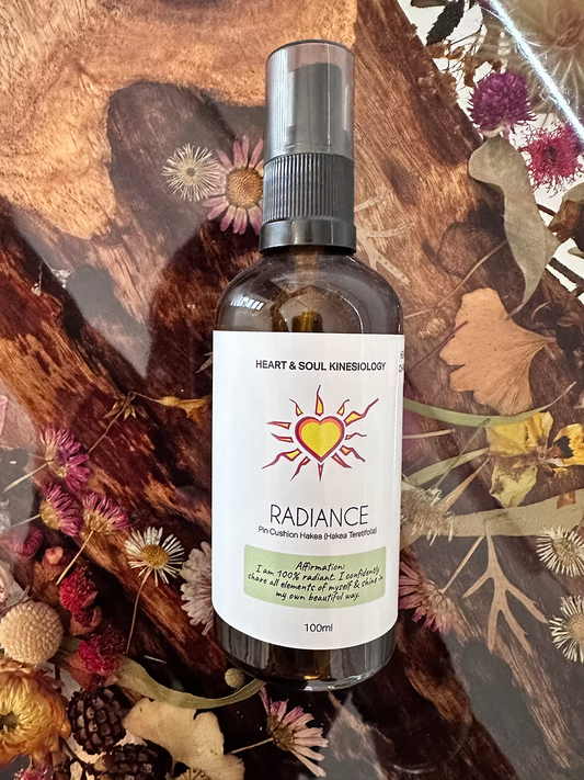 Heart N Soul - Radiance