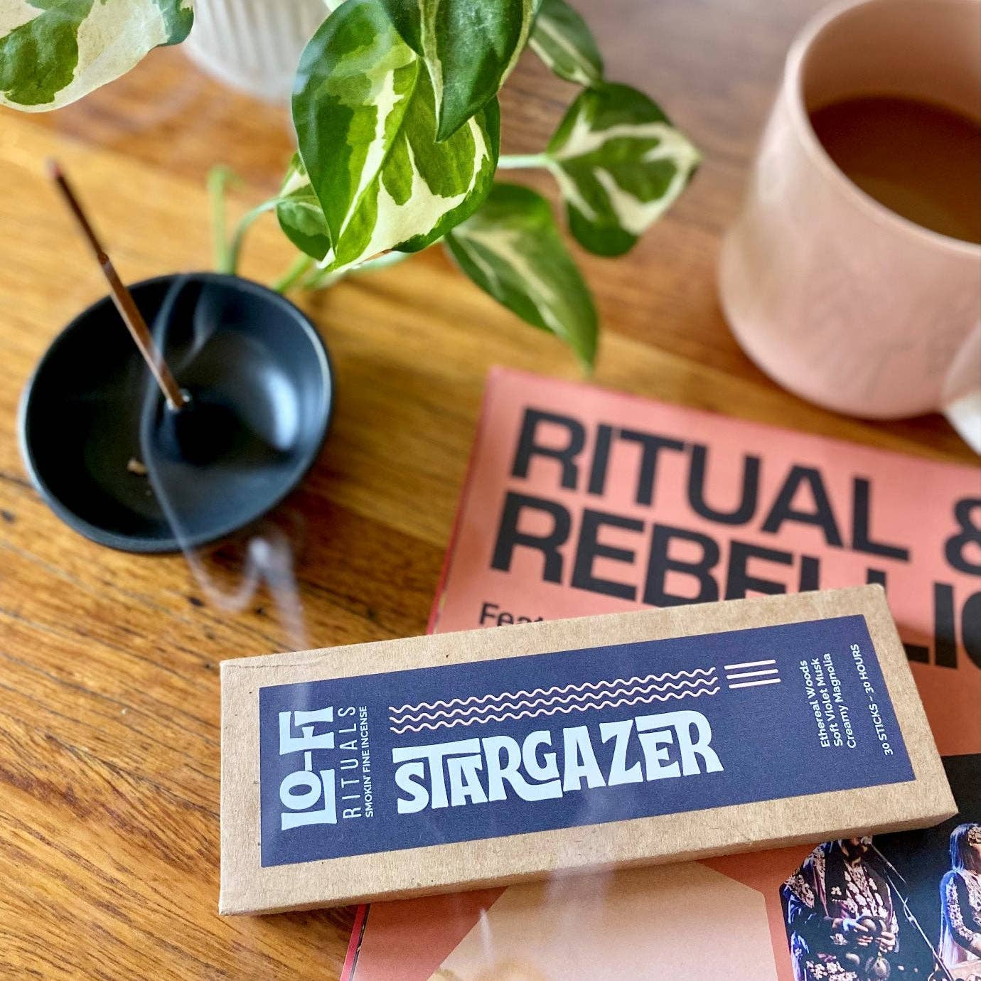STARGAZER | Incense | Sandalwood, Violet, Musk