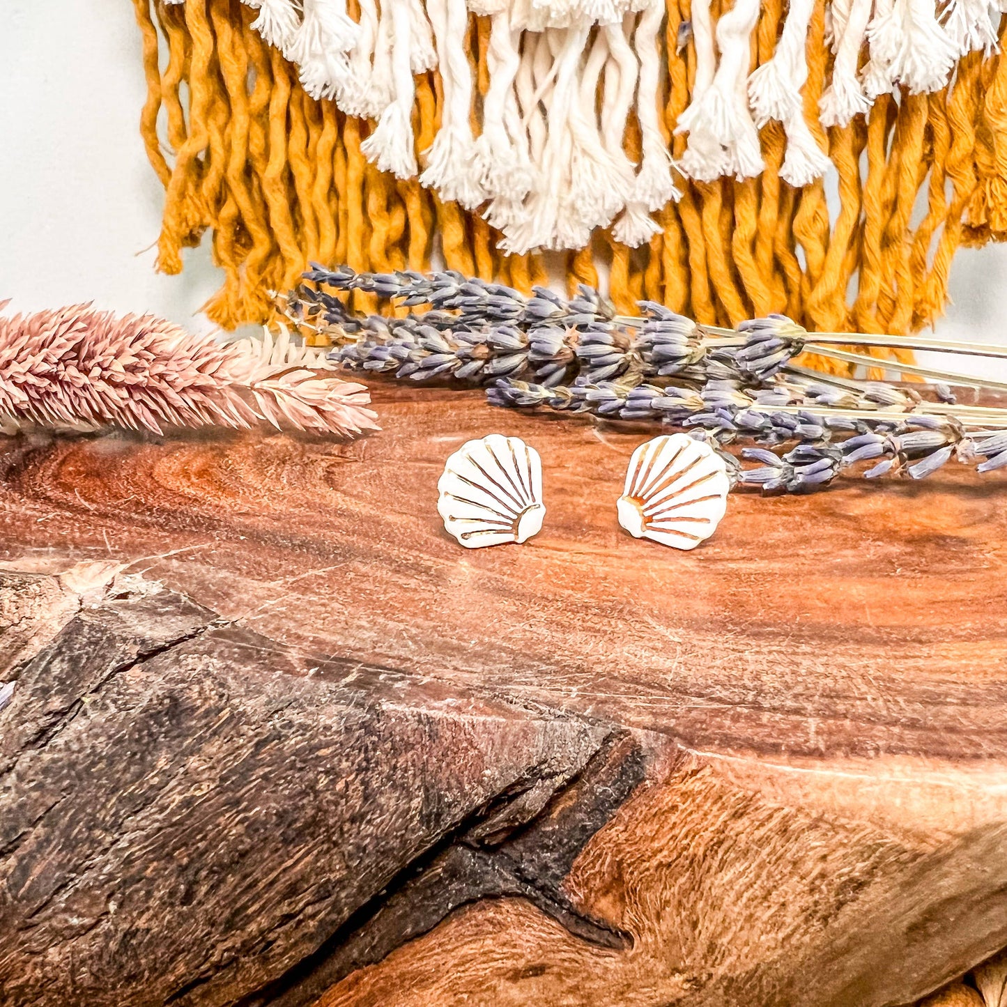 Sea Shell - Porcelain Stud Earrings: White