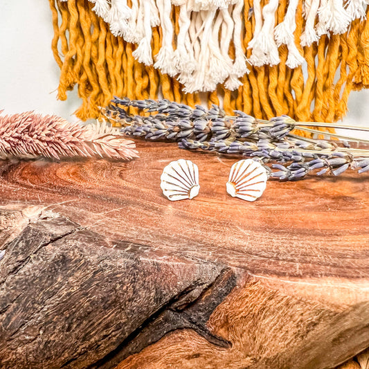 Sea Shell - Porcelain Stud Earrings: White