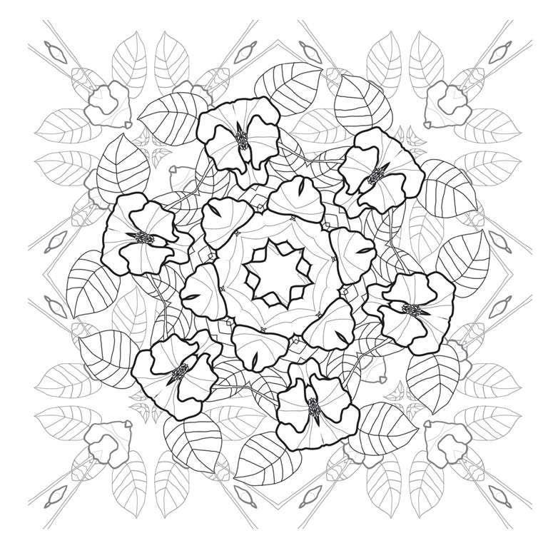 Florasphere Calm - Colouring Book