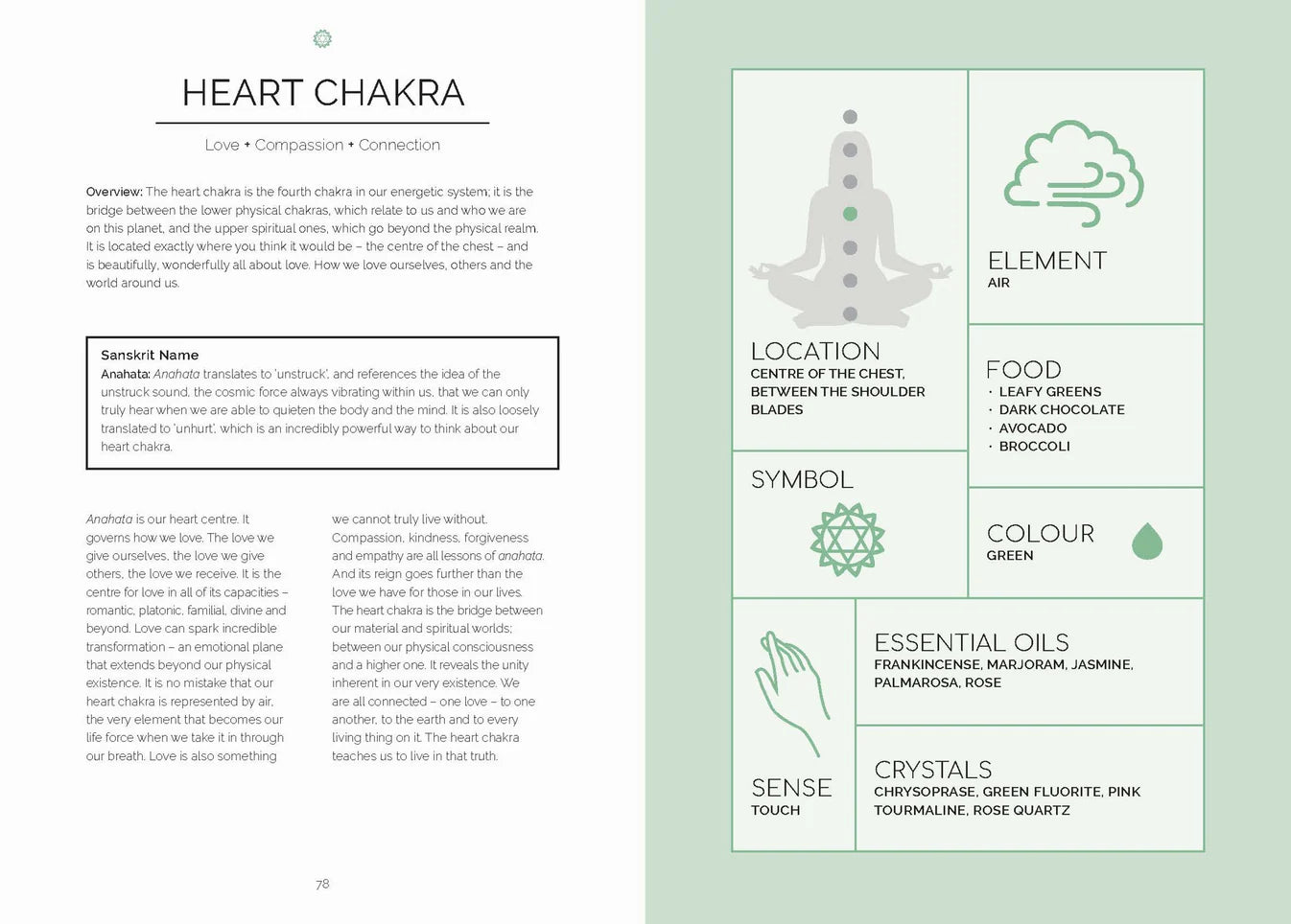 The Beginners Guide to Chakras
