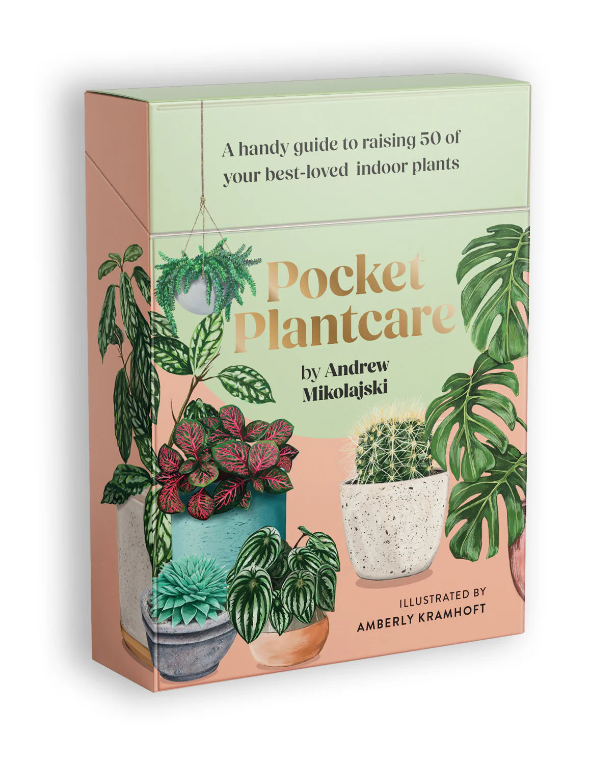 Pocket Plant Care