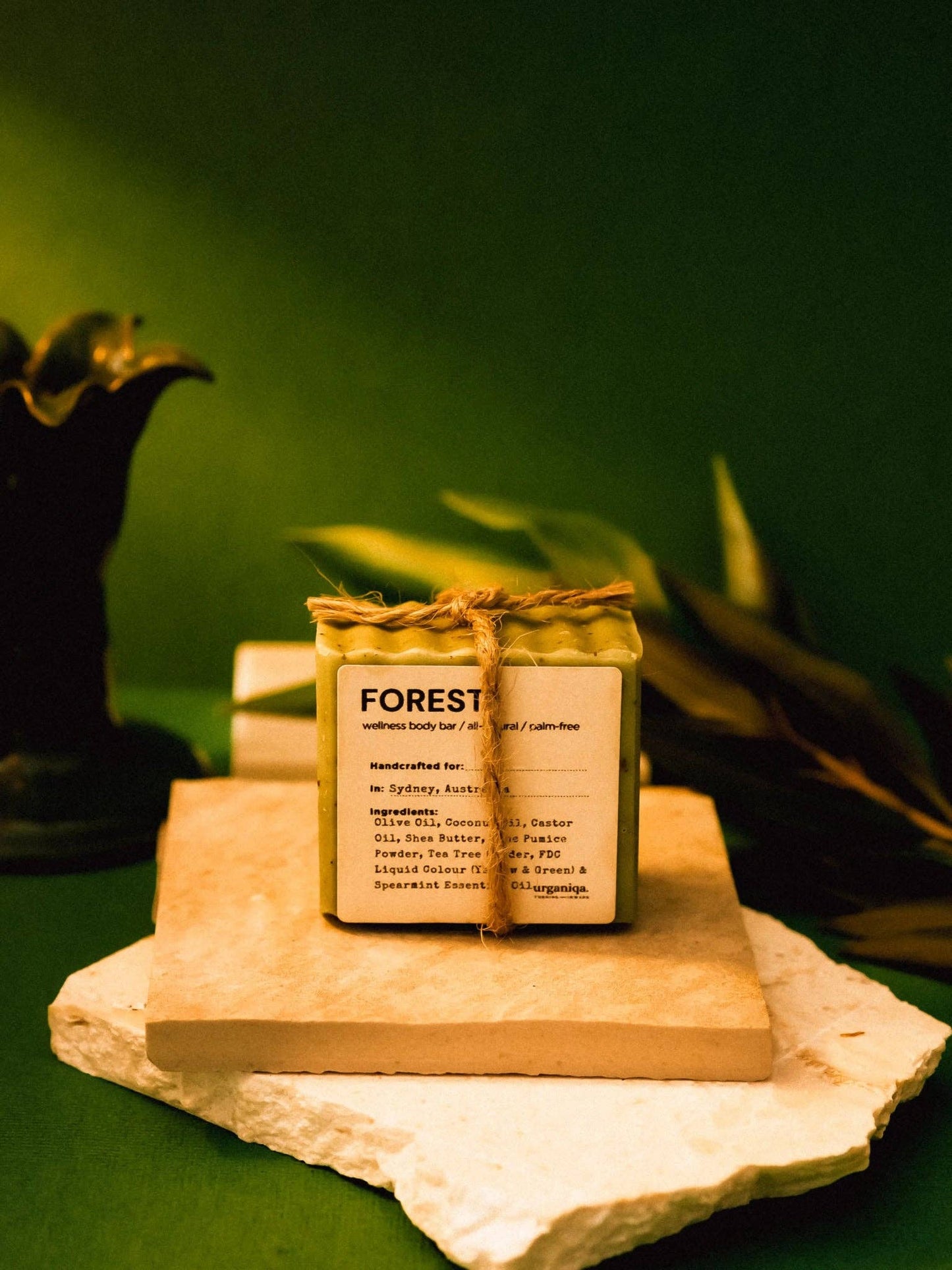 Forest Natural Naked Soap Palm-free & Cruelty-free | Guapa Collection