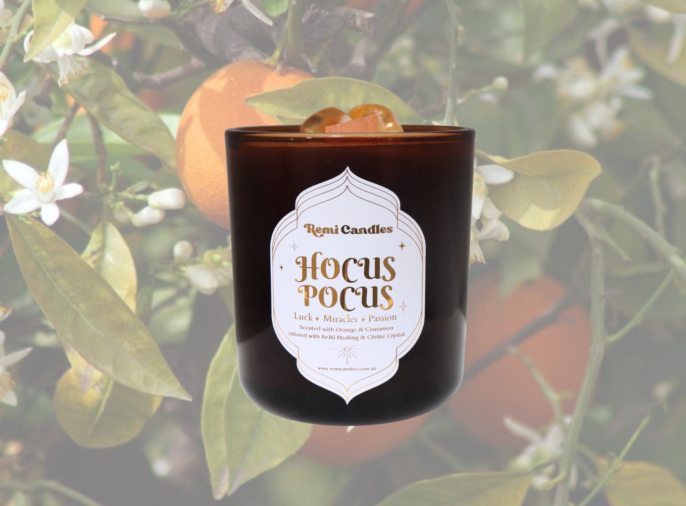 Hocus Pocus Candle ~ Orange & Cinnamon