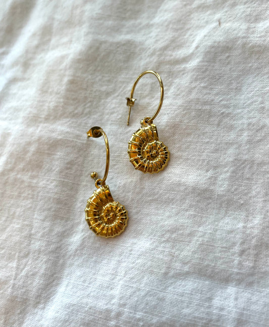 Ammonite Drop Hoops
