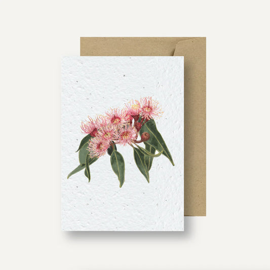 Plantable Card - Flowering Gum