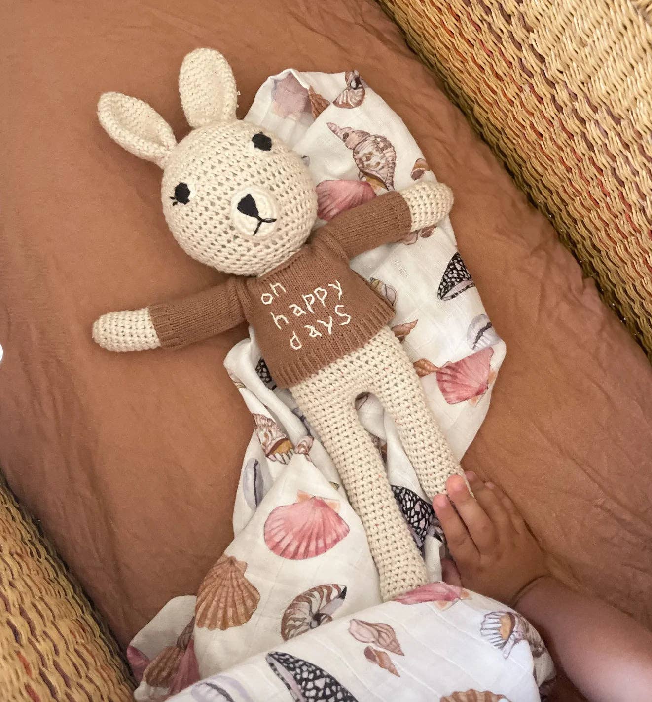Shell Swaddle