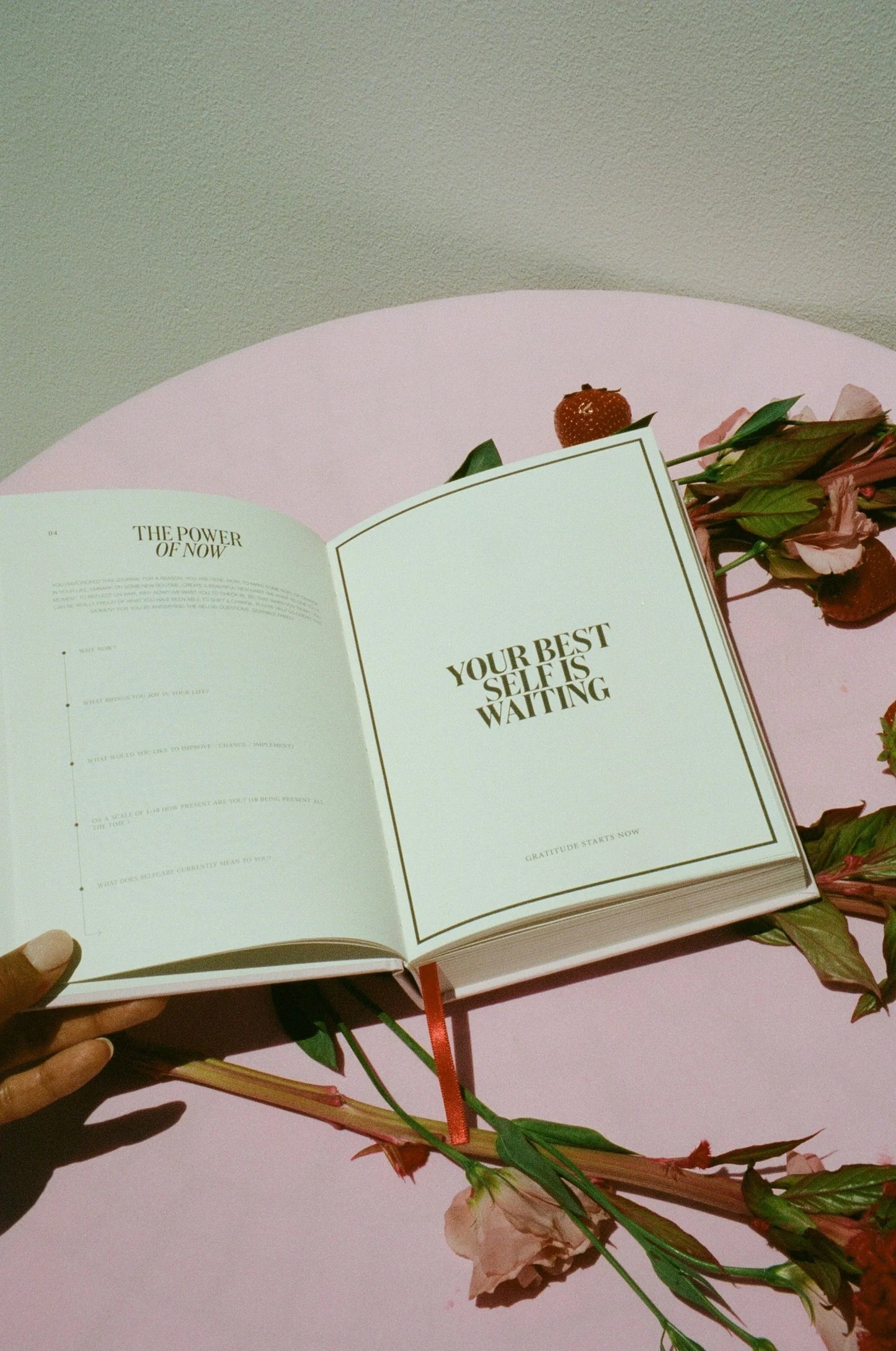 Selfdom Gratitude Journal - Pink